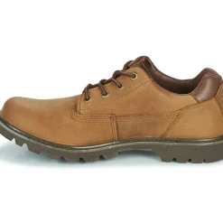 Caterpillar - COLORADO LOW 2.0 / SHOES