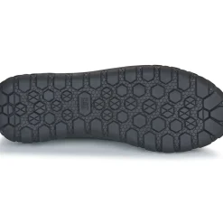 Caterpillar - HEX + CANVAS