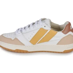 Caval - BROWN SAHARA