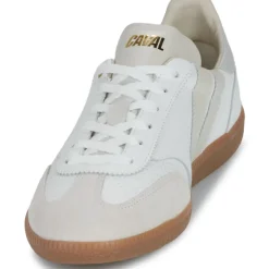 Caval - PULSE