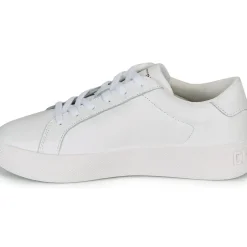 Champion - ERA LEATHER