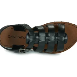 Chattawak - TERRA