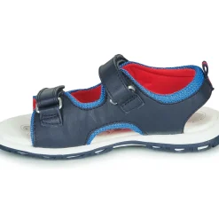 Chicco - CAIL