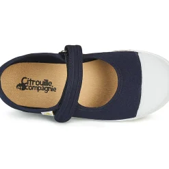 Citrouille et Compagnie - APSUT