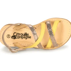 Citrouille et Compagnie - GENTOU
