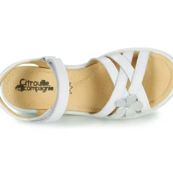 Citrouille et Compagnie - HERTUNE