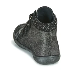 Citrouille et Compagnie - HODIL