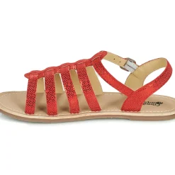 Citrouille et Compagnie - MAYANA