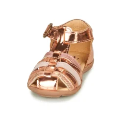 Citrouille et Compagnie - RINE