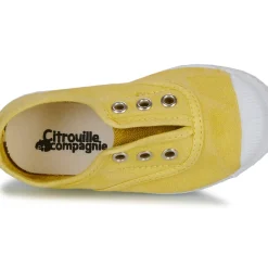 Citrouille et Compagnie - WOODEN