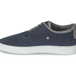 CK Collection - CUSTO
