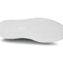 CK Collection - CUSTO