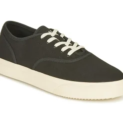 Clae - AUGUST