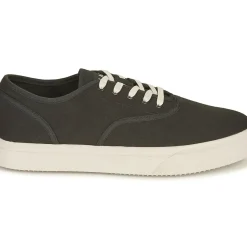 Clae - AUGUST