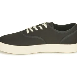 Clae - AUGUST