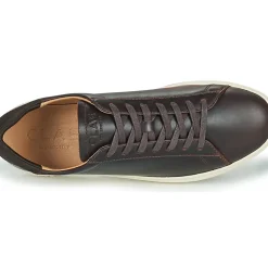 Clae - BRADLEY