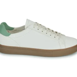 Clae - BRADLEY