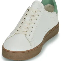 Clae - BRADLEY