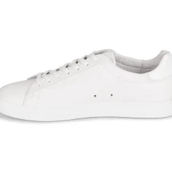Clae - BRADLEY
