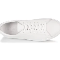 Clae - BRADLEY
