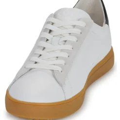 Clae - BRADLEY