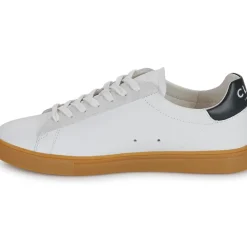 Clae - BRADLEY