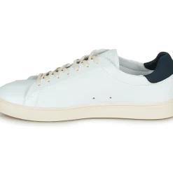 Clae - BRADLEY