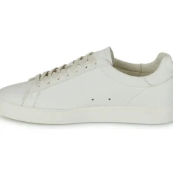 Clae - BRADLEY