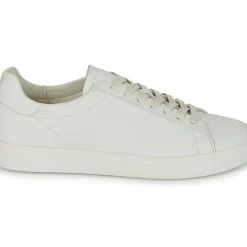 Clae - BRADLEY