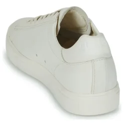 Clae - BRADLEY