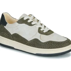 Clae - ELFORD