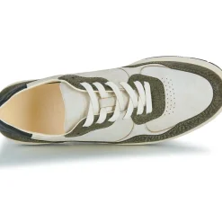Clae - ELFORD