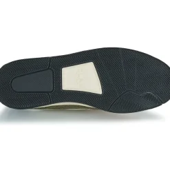 Clae - ELFORD