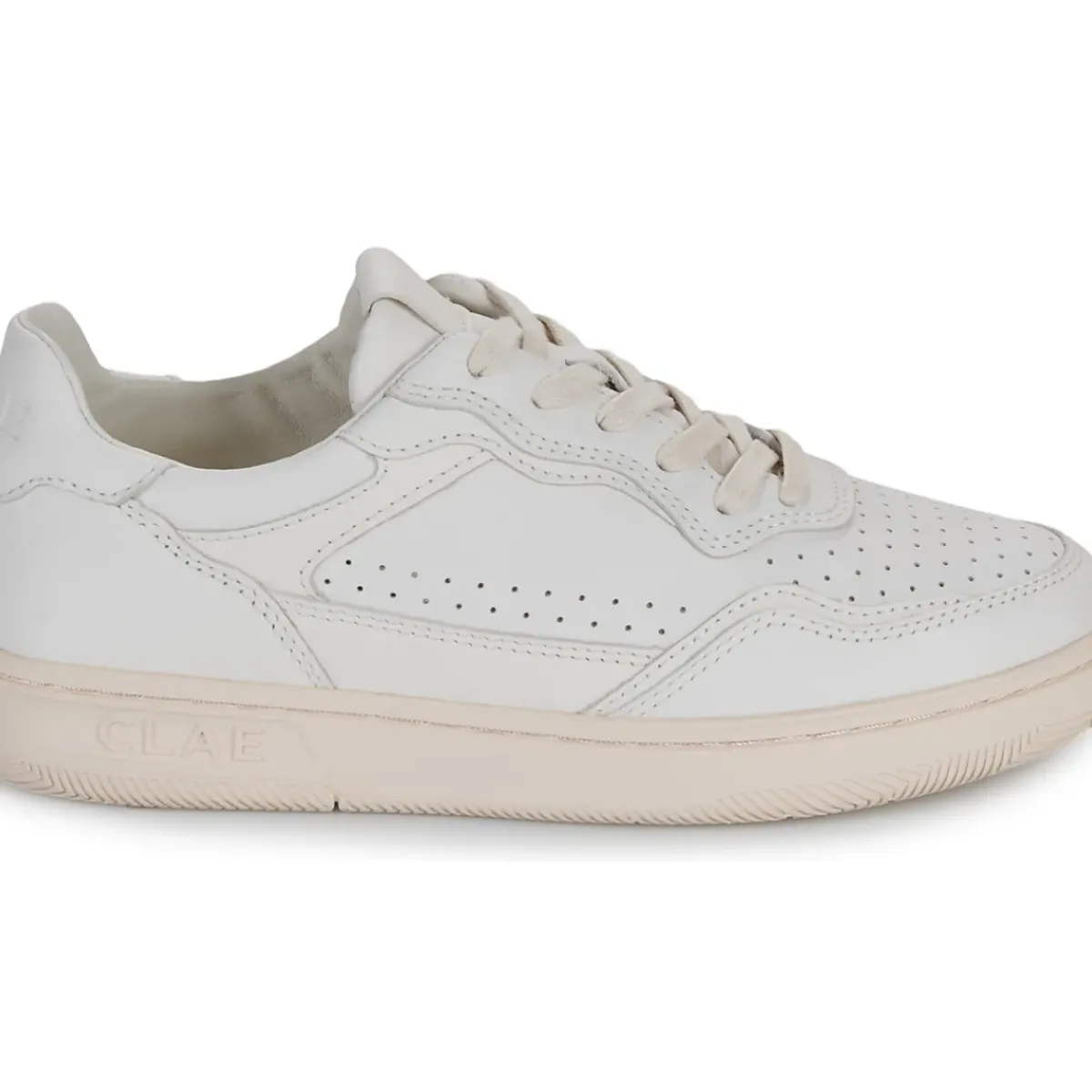 Clae - HAYWOOD