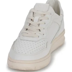 Clae - HAYWOOD