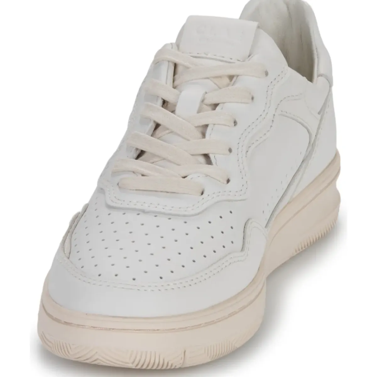 Clae - HAYWOOD