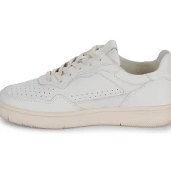 Clae - HAYWOOD