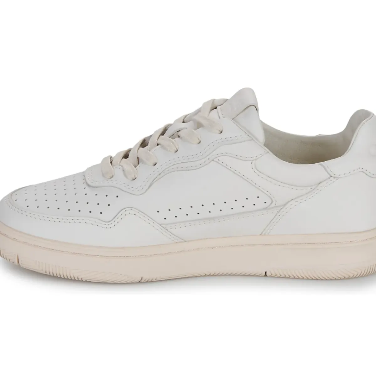 Clae - HAYWOOD