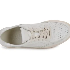 Clae - HAYWOOD