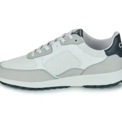 Clae - JOSHUA