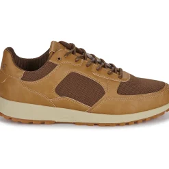 Clae - JOSHUA