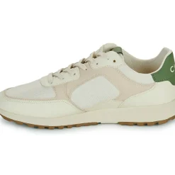 Clae - JOSHUA APPLE