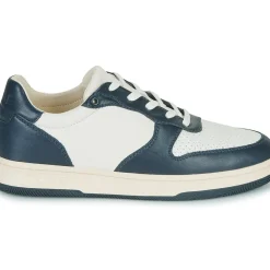 Clae - MALONE