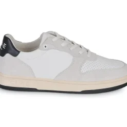 Clae - MALONE