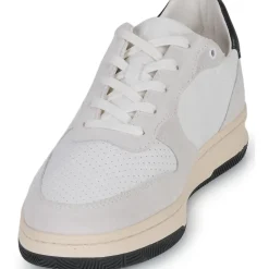 Clae - MALONE