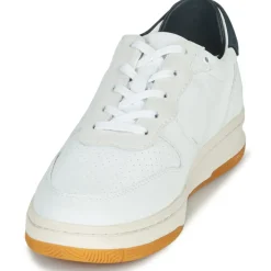 Clae - MALONE