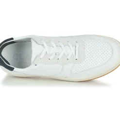 Clae - MALONE