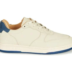 Clae - MALONE