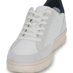 Clae - MONROE