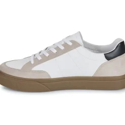 Clae - MONROE VP